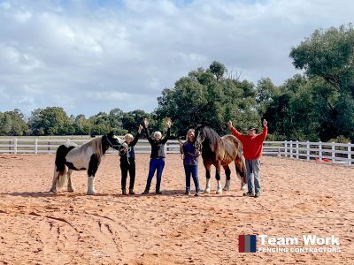 Horse PVC Fencing is a great way to keep your horse safe and secure.